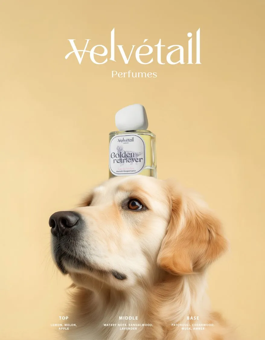 Velvétail Golden Retriever perfume bottle presented with a Golden Retriever against a yellow background