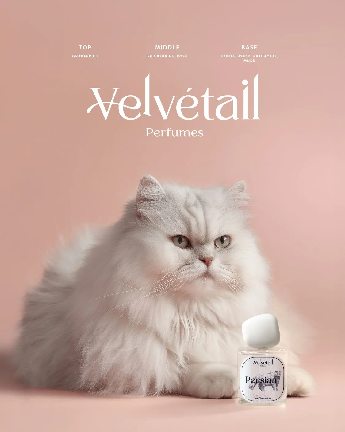 Velvétail Persian perfume bottle beside a white Persian cat on a soft pink background