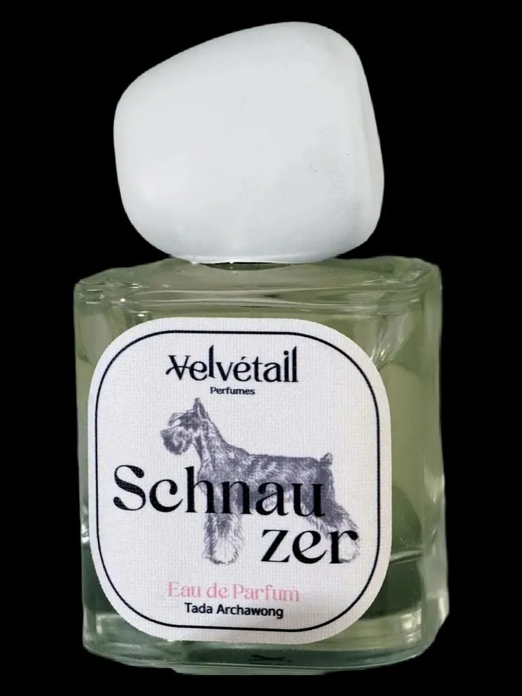 Velvétail Schnauzer perfume bottle with a Schnauzer in a muted green campaign setting