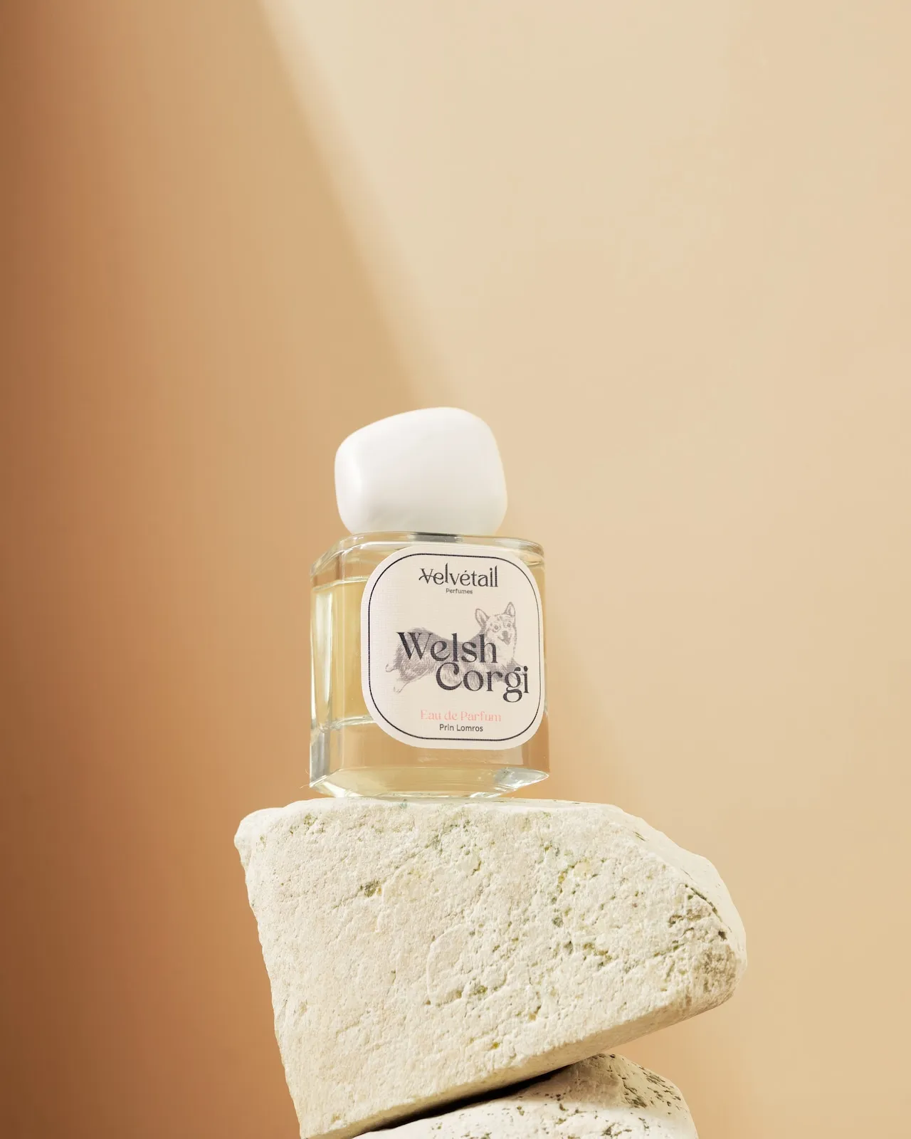 Velvétail Welsh Corgi perfume bottle in a warm neutral product setting